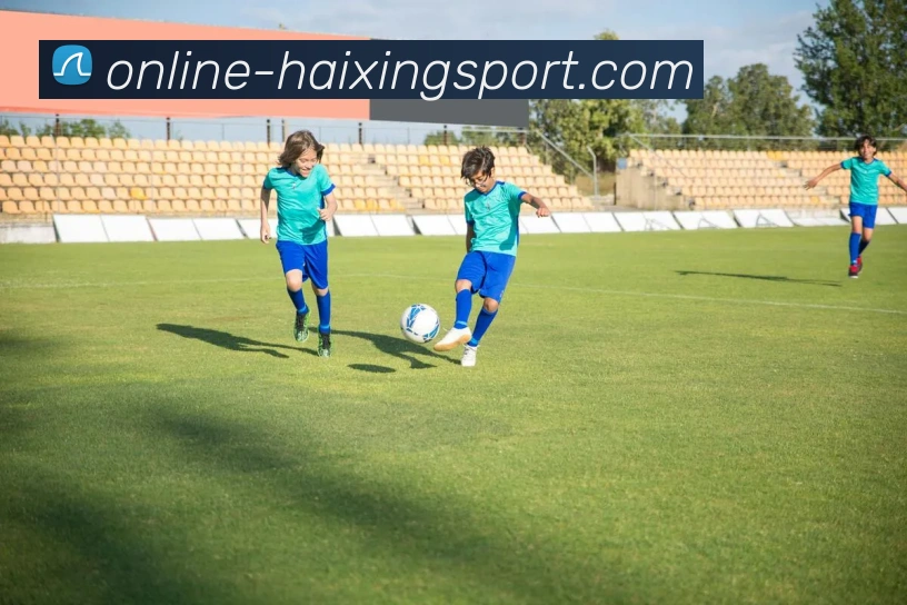 海星体育平台生态图