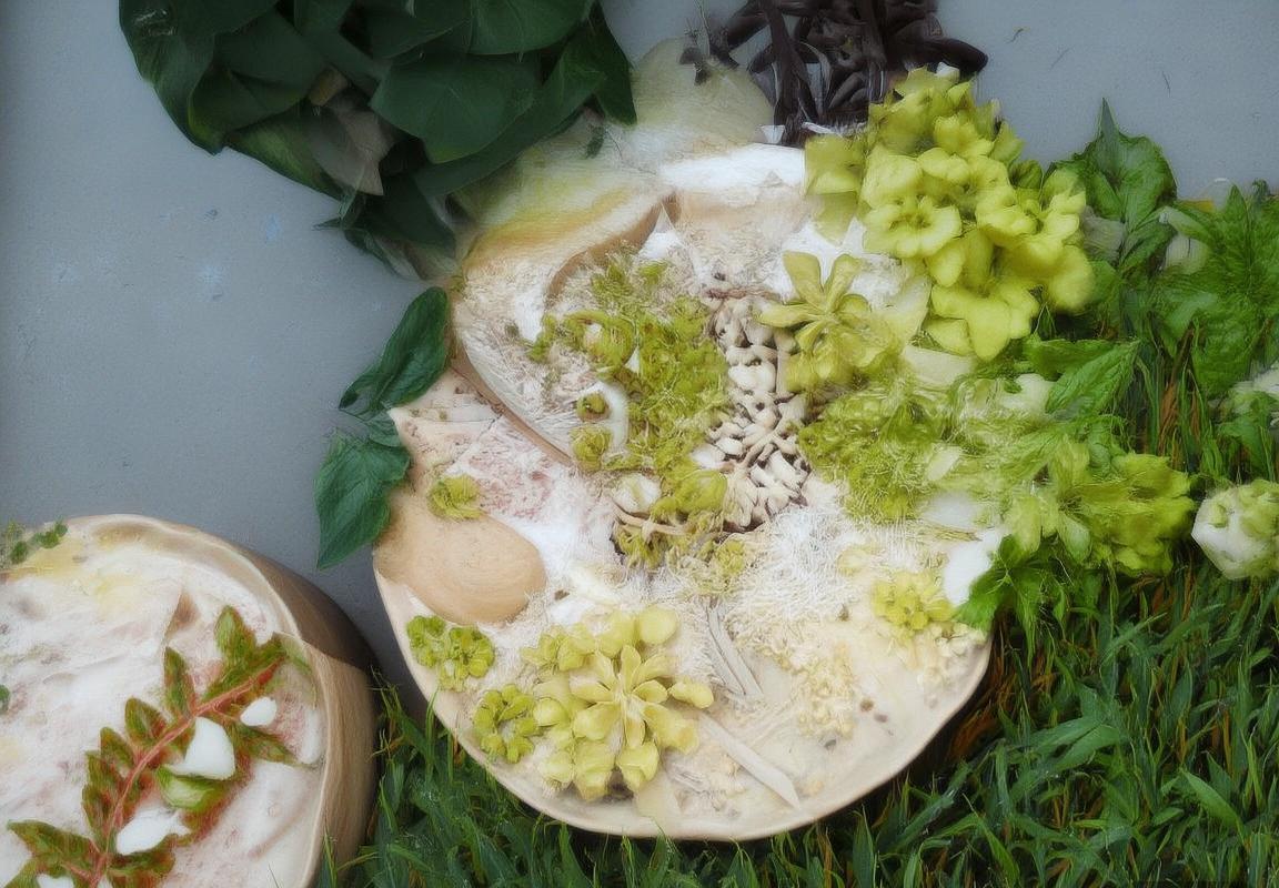 芬兰乌克兰足球赛：激情对决背后的故事与影响